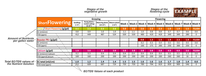 EXAMPLE_SCHEDULE_ghs